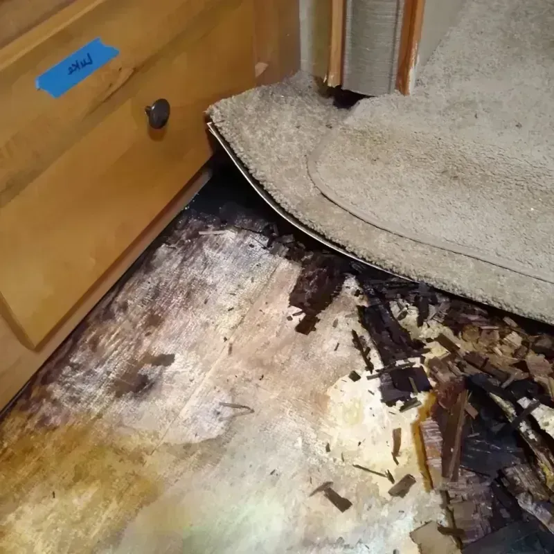 Wood Floor Water Damage in Seminole, OK